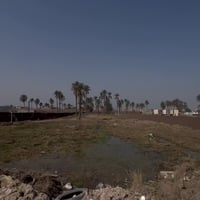 دونمين و١٠٠٠م • زراعي • قريبة ع حولي