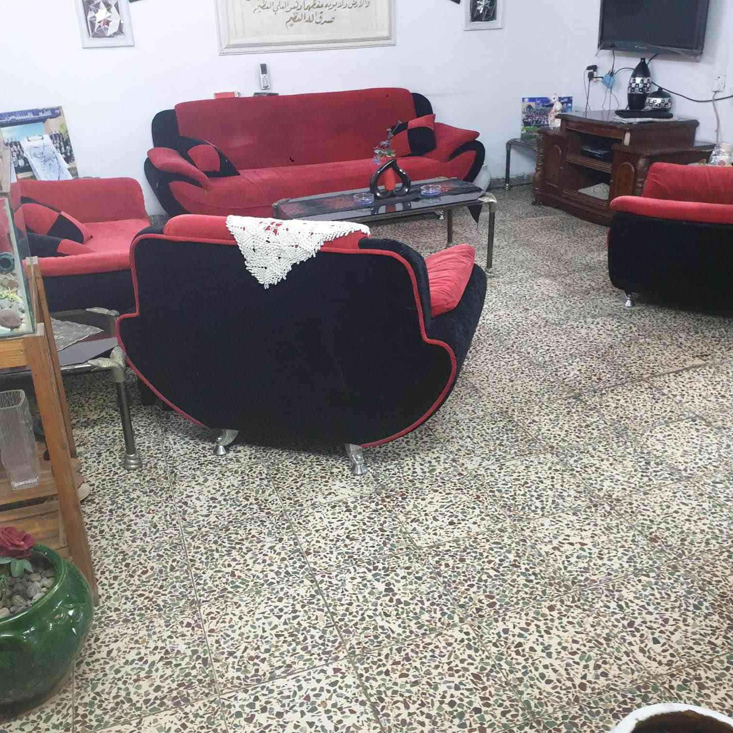 تخم عدد 2 للبيع الاحمر ب 300 والنيلي ب 500 اخوان التخومة جدد والنيلي ماخذة من العالمية ب 42 ورقة السعر بي مجال كلش قليل مكاني حي الاعلام قرب مدرسة ابن ماجد الابتدائية للاتصال *********** بغداد, العراق
