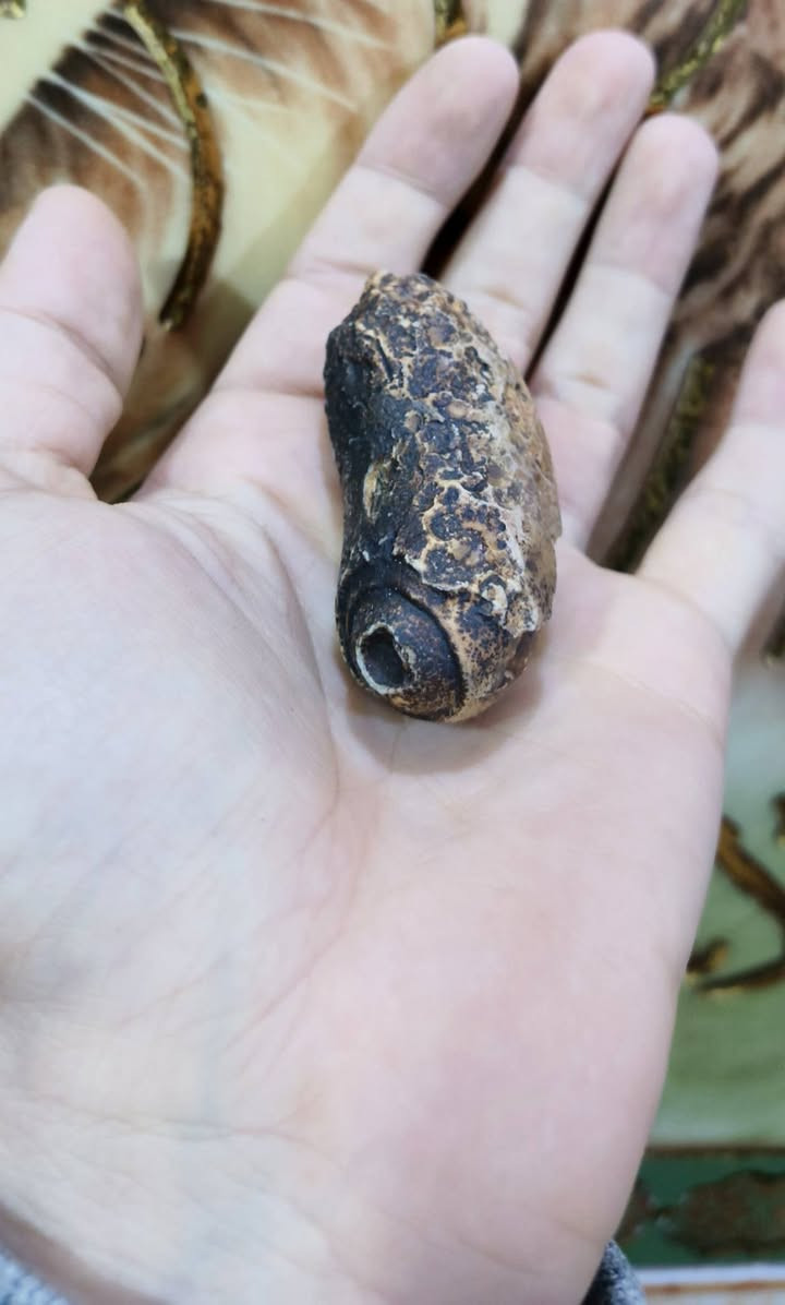 اللهم صل على محمد وآل محمد
قطع انتيكة من أحجار السلطاني تراثية قديمة بسعر البلاش روعة تحفة التحف سعر زوج ٢ ب١٥ ألف مقتنيات روعة توصيل موجود لكل العراق ٥ آلاف دينار فقط اكو جملة هم بسعر أقل وبلخدمة للطلب خاص واهلا وسهلا للعلم كلة رباني


**إذا كنت صاحب هذا الإعلان وتريد حذفه لأي سبب، رجاءا أرسل رسالة إلى الدعم الفني**