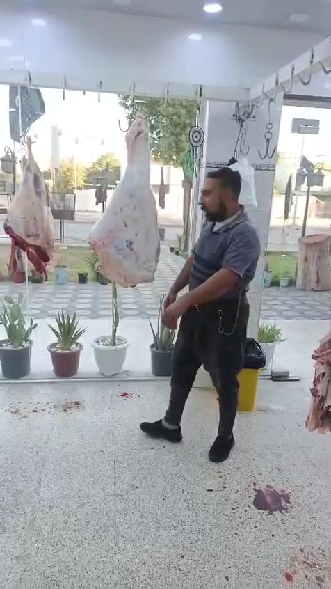 بسم الله الرحمن الرحيم يالله
ليوم الاربعاء ٢٤يعلن مطعم الماجد و قصابه الماجد عن بيع الحم عجل عراقي 
شرفونا وگل الهلا بيكم 
عنوان المسيب حي المعلمين مجاور اسواق الباشا   
***********
