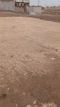 قطعه الارض البيع زراعي مساحه 150 يسوون تبليط وتيكله الاستفسار رقم المو...