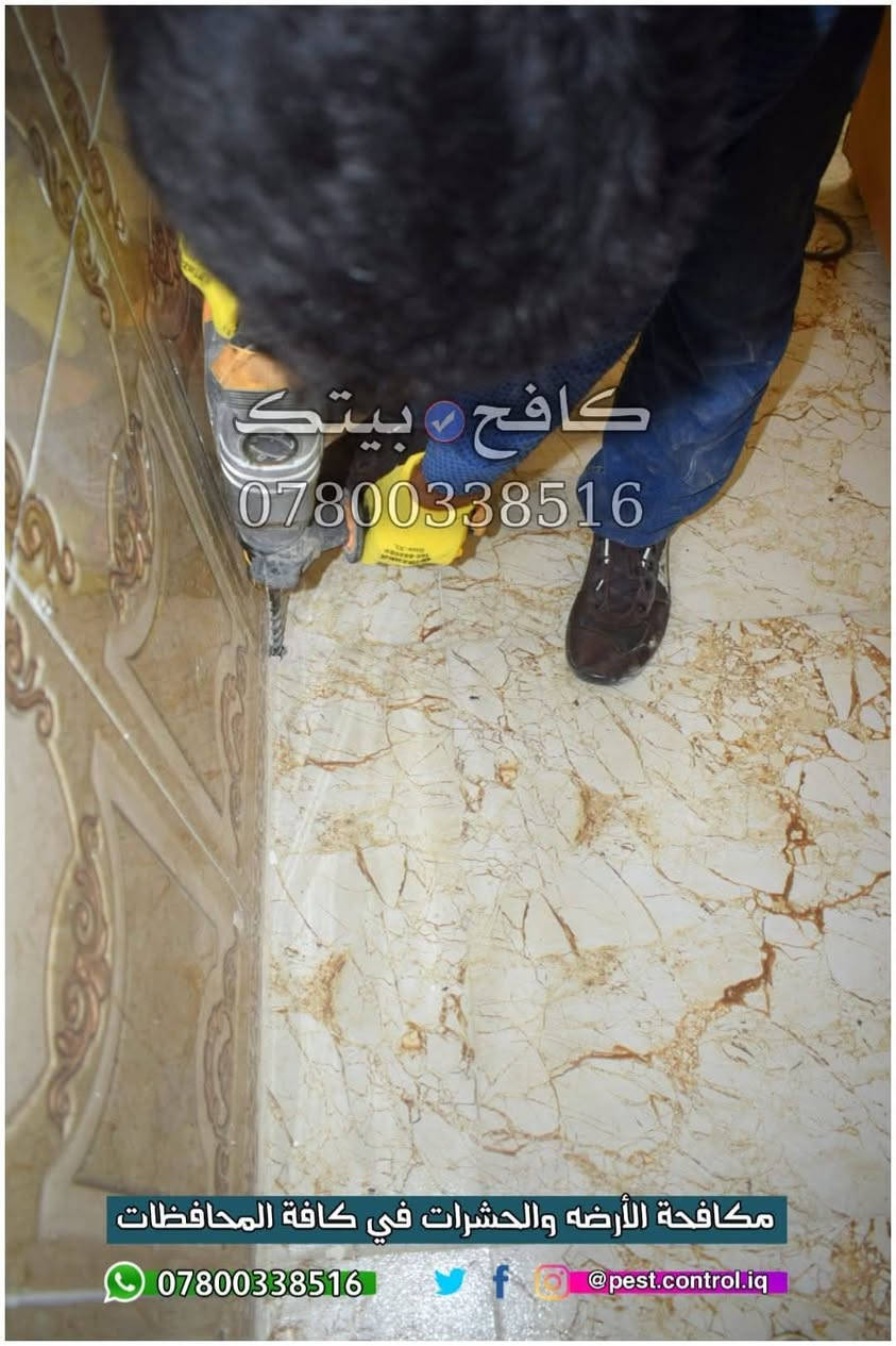 "بيتك أمانة، لا تتركه للأرضة 🐜" #ضمان 5 سنوات 🛡️

⛔ نرفق اليكم مجموعة بسيطه من الصور خلال هذه السنوات في مكافحة حشرة الارضه في كافة انحاء مناطق النجف والكوفه ⛔ في المنازل & المجمعات السكنيه & الدوائر الحكوميه & المستشفيات  🇮🇶 

:: تعاني من آثار #الأرضة أو خايف على بيتك من حشرة الأرضة المدمرة ؟ ⚔️

​ وفرنا لأهلنا في النجف الحل الجذري والاحترافي. مو بس رش مبيدات، إحنه نقدملك "منظومة حماية ذكية" تحمي أساسات بنائك وتضمن لك القضاء على المستعمرات من جذورها وبدون رجعه ❌

         #سنوات_من_العمل_والخبره ✅

​✅ لماذا نحن خيارك الأول في النجف والكوفه ؟
• ضمان ذهبي لمدة 5 سنوات ( عدم عودتها نهائياً ). 
• كادر متخصص ذو خبرة عالية في مكافحة الأرضة.
• نستخدم أحدث #المبيدات #الفايروسية (درجة أولى) وآمنة تماماً.
• خدمة تركيب منظومات مفلترة لـ أساسات البناء ( لحماية منزلك في المستقبل من الاصابه بحشرة الارضه  ).
​لا تخلي مجموعة #حشرات تضيع تعب السنين . 
احمِي بيتك اليوم واستفاد من أسعارنا التنافسية.

🔴 ​لا تنتظر الضرر يوصل لأثاثك ، احجز الآن عبر الواتساب"

***********  📞 | واتساب 

( متواجدون لخدمتكم في كافة أنحاء النجف والكوفة )

#بابل #حشرة_الارضه #كربلاء #مكافحة_حشرة_الارضه #الأرضه #النجف #الكوفه #بغداد #الديوانيه #مكافحة_الحشرات #القوارض #النمل_الابيض #الحله #علاج_الارضه #اكسبلور
