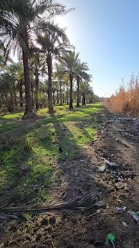 بستان • ٦ دوانم • طابو ٢٥