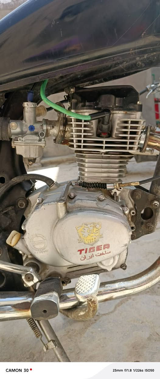 للبيع 125 مكاني نجف *********** شوفت عينك
