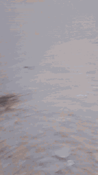 ميسان • ١٤٠م • طابو مرقمة