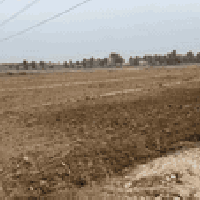 ٣ دونم • طابو زراعي • خلف جامعة بابل