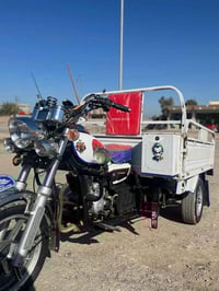 ستوتة • موديل 22 • ما بيها نقص