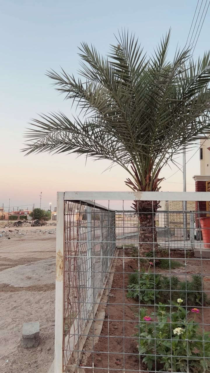 سلام عليكم بيت في السكنيه خلف الكليه الاداره والاقتصاد مساحته 250 طابو صرف بناء طابوق بي غرفه جوه وغرفتين فوك ديوانيه صاله ومطبخ صاير بلخلف مناور ثنين شارع كدامه 15 خدمات كامله منطقه كلها زينه 
 سعره 160 وبي مجال رقم تلفون 
 ***********
