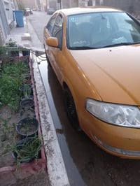 صني • ٢٠٠٨ • الدورة