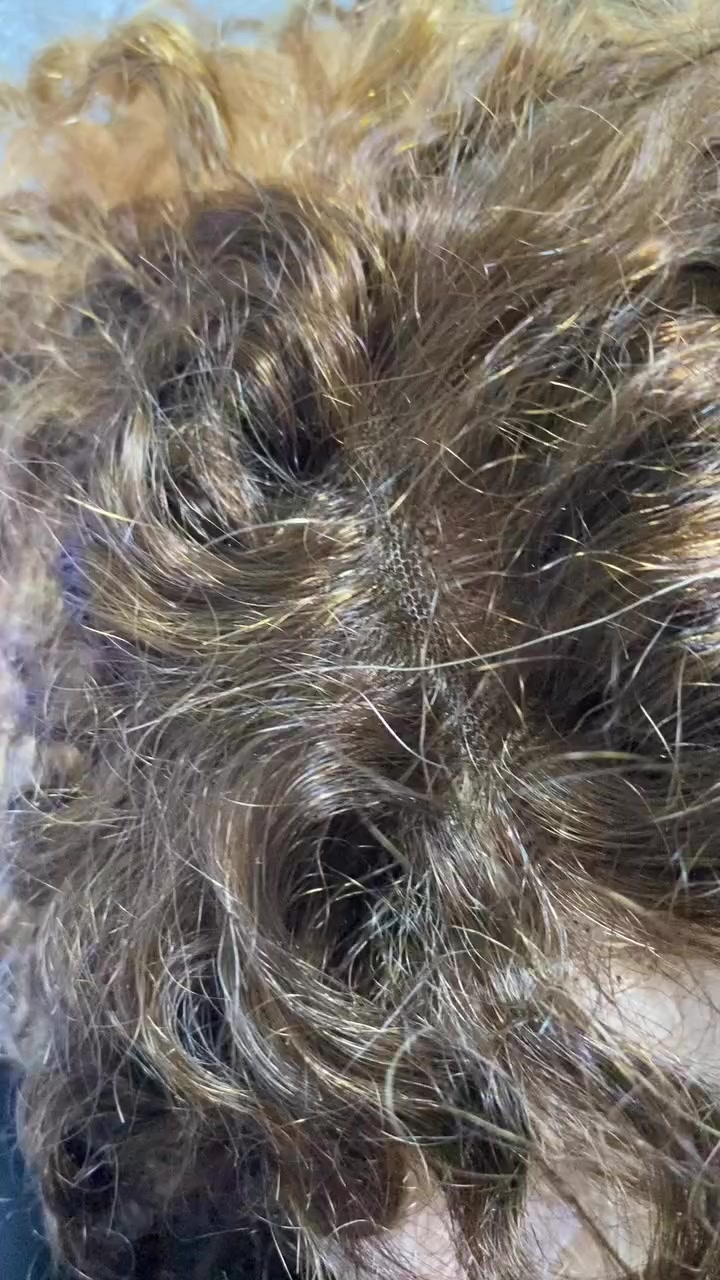 طلعولي ذني شعر طبيعي.  ثنينهن ب٣٠ ويا التوصيل


**إذا كنت صاحب هذا الإعلان وتريد حذفه لأي سبب، رجاءا أرسل رسالة إلى الدعم الفني**