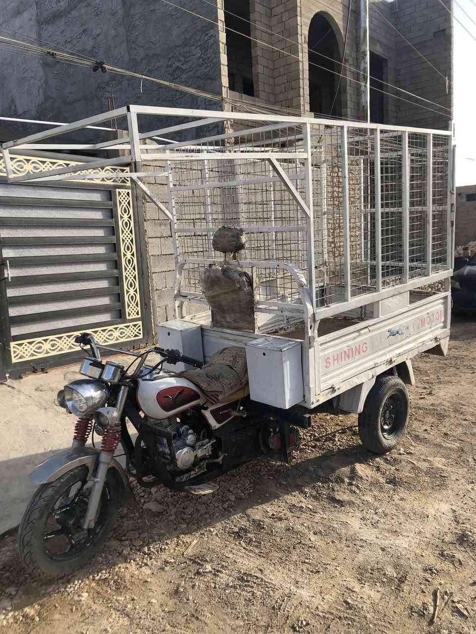 سلام عليكم 
ستوته للبيع  نكره سلف محرك ٢٠٢٤ لايات بكلايت كلشي شغال بيه مكان الرمادي ٥كيلو للاتصال *********** 
ملاحظه للبيع بدون الجنل
