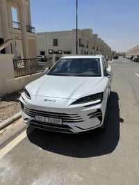 سونك بلاس • باب خلفي مضروب • بانوراما متضررة