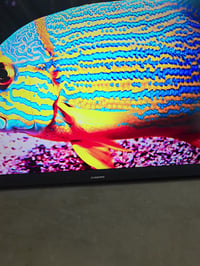 شاشة ٥٥بوصة • سمارت انترنت • بهرز حي صدام