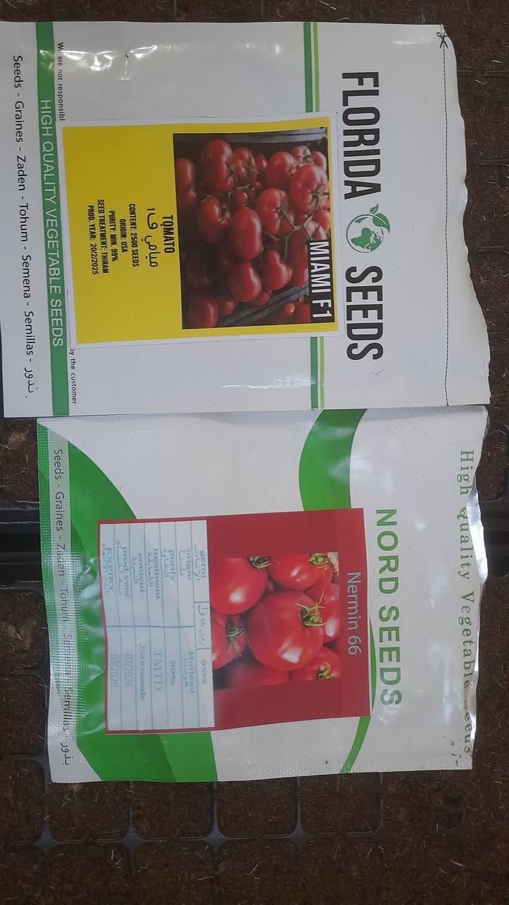 شتل طماطه للبيع الصنف عادي ميامي/نرمين العدد 30فلينه ام 128 السعر النهائي  8الاف
للاستفسار اتصل ***********
