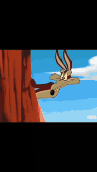 سلام عليكم دراجه RK مديل 23 اوراق معرض بيه بس شويه تالفات تنكعن عندي وعندي صورهن لوراق تكدر تسحبهن من لتلفون خير من الله ادراجه كهربايته كله كامله بيه جكجكه بلمكينه مامثره سعر مليون وبيه مجال بسمايه مامتواجد علخاص ***********متواجد وتساب موشراي لاتعبني فدوء
