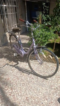 برجسون بناتي ٢٦ • كير ٣ نمر • تاير ضد البنجر