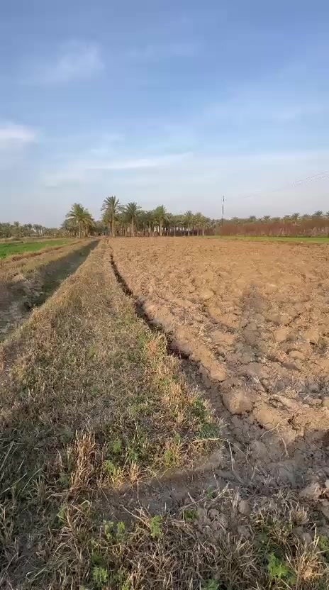 سلام عليكم ورحمة الله وبركاته
دونم الا سند زراعي 25 وجه بستان 2024 متر ترهم مزرعه وترهم سكن وجه 88 نزال 23 كهرباء ومي واصلها مكانها الفلوجه الشهابي خلف معمل الحراريات السعر
30 وبيها مجال بسيط 
***********
