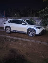 فروت لاندر • ١٨ الف • رقم بغداد