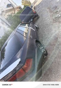 ماندل • راعيه • ديالى