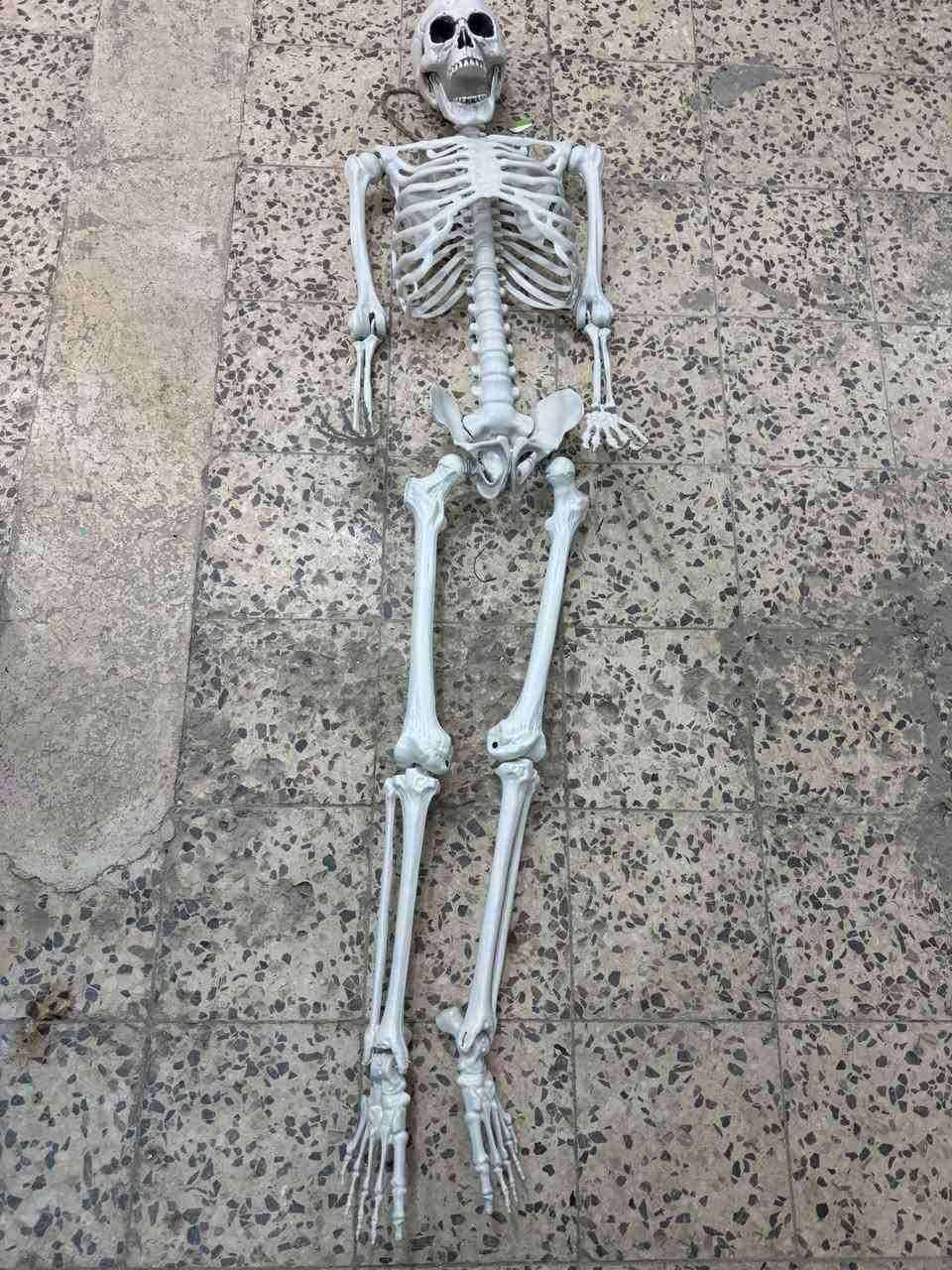 هيكل عظمي
طول 160
جديد لك بدون اي ظرر


**إذا كنت صاحب هذا الإعلان وتريد حذفه لأي سبب، رجاءا أرسل رسالة إلى الدعم الفني**