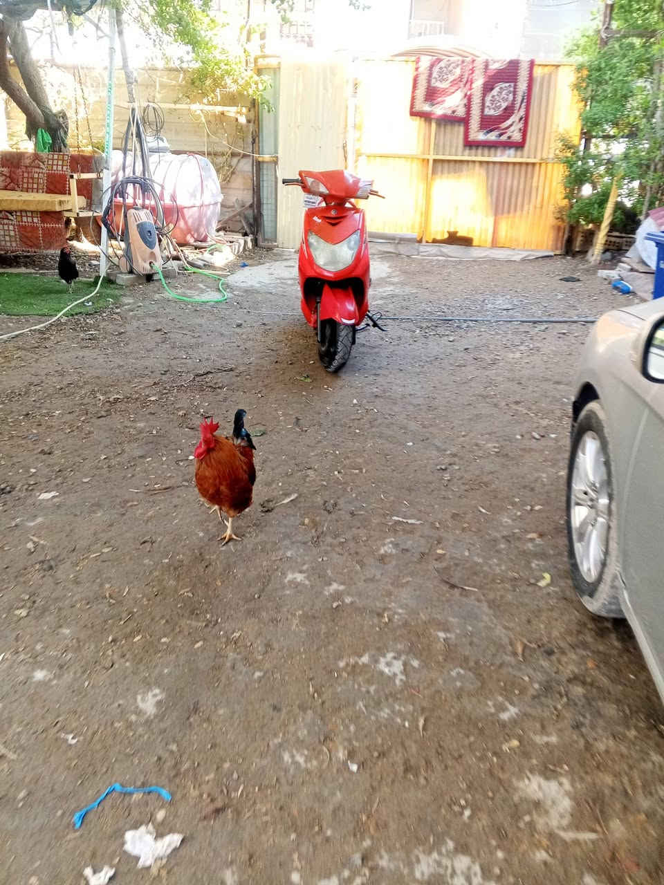 سلام عليكم دراجة سكنس شغالة نقصها قطع نارية مكاني بغداد دورة ابو دشير  رقم هاتف ***********
