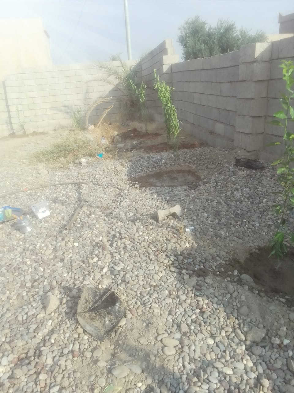 السلام عليكم يوجد كادر. عمل بناء ولبخ وتغليم وزرع الأشجار وتنظيف النخيل من البنات وحي الجميع 
خابر ***********
