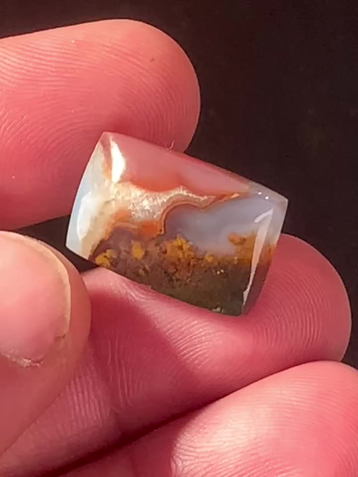 شجرية طحلبية بسعر 10 فقط


**إذا كنت صاحب هذا الإعلان وتريد حذفه لأي سبب، رجاءا أرسل رسالة إلى الدعم الفني**