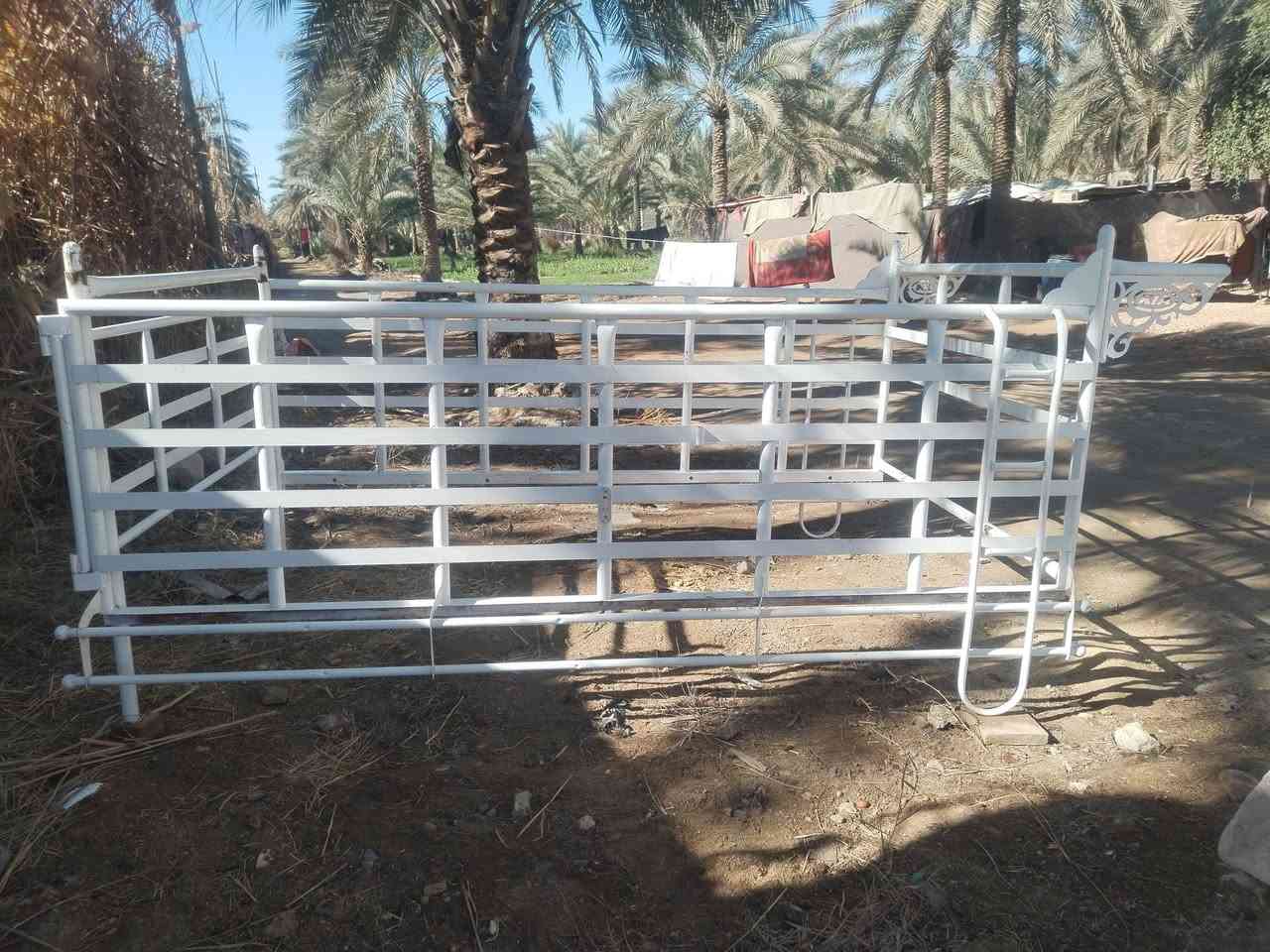 محجر. نثيه. ***********
