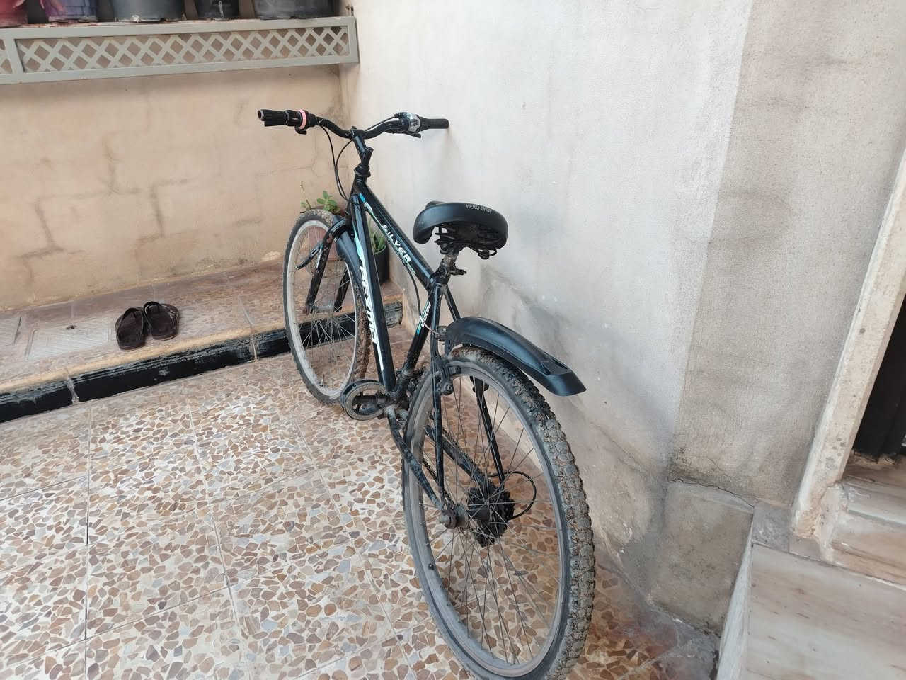 السلام عليكم بايسكل للبيع حجم 26 فافون إصطابات طفاريات كير ومكينه شغالات انطيني سعر اذا عجبني ابيع


**إذا كنت صاحب هذا الإعلان وتريد حذفه لأي سبب، رجاءا أرسل رسالة إلى الدعم الفني**