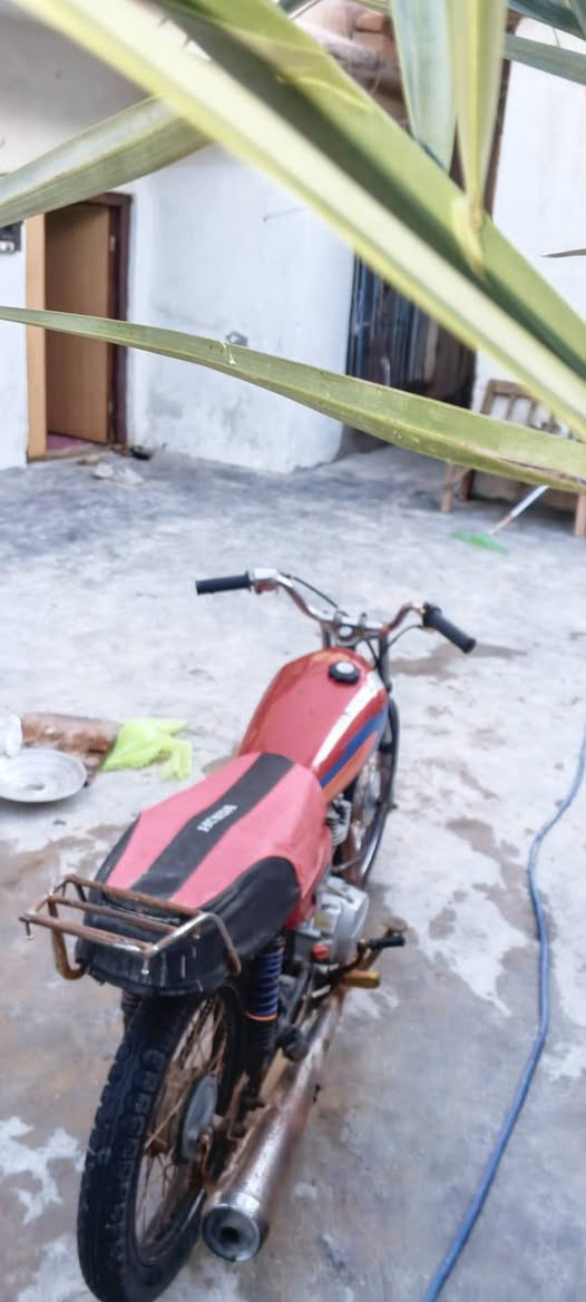 سلام عليكم ورحمه دراجه نيرجي فول وسامته سعرها 275وبيها مجال حك جيدتك
رقمي،***********/ماسنجر مفتوح تحياتي الكك❤️🌹
