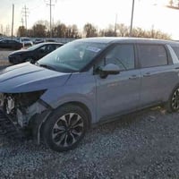 كرنفال • ٢٠٢٤ • مزاد