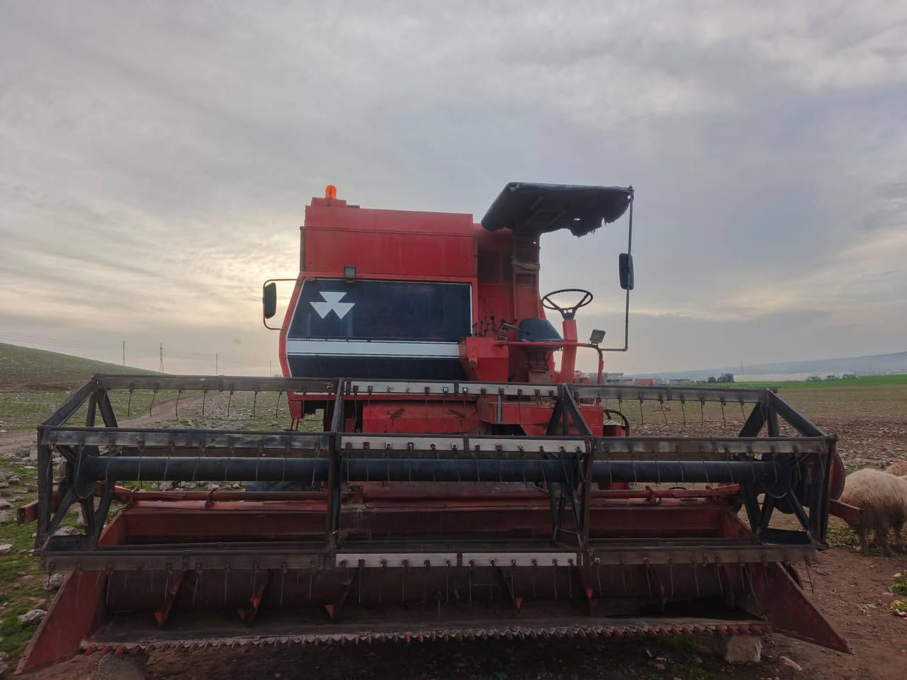 السلام عليكم جرار عنتر 121 / 6 سلندر سوبر محرك اوربي بلاد سوبر دبل شوته دبل راديتر  ثقالات اماميه خليفه تبريد ثلج محرك كير اكسل بور ستيرن كهربائيات فول هايدروليك مكفوله كفاله عامه   رقم وسنويه قادسيه العنوان سليمانيه رانيه 
الاستفار اتصل على هذا الرقم  ***********
***********
رجائن اقرى المنشور يلا تتصل تحياتي للجميع
