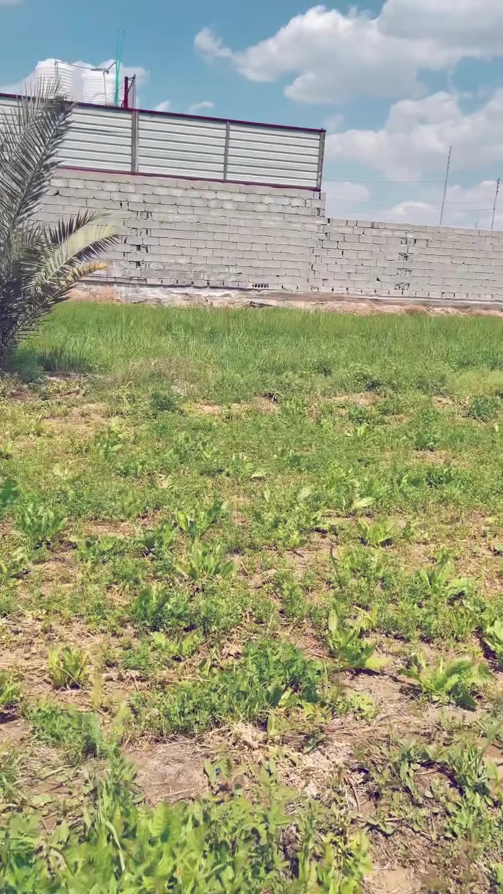 الف متر للبيع طابو 25 اقرار محكمه مع بيت مساحة البيت 200 متر يحتوي البيت على غرفتين وصاله واستقبال ومطبخ بناء بلوك صب مسلح كونكرت في كربلاء منطقة الزبيلية شارع ام البنين كافه الخدمات ماء وكهرباء منطقة سكنية /*********** /***********
