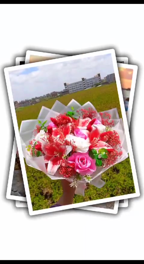 بوكيهاااااات ورد ليلياااام الترند القمر دي 🌹🌸🌿🌾NerooGalery 
عملالكوااااا عليها عرض وخصوووووماااات متتفوتش 😍😊🌿🌿🌿
للحجز تواصل واتساب 📞01287138255
او ابعتلنا رساله ع البيدچ 📩
متاح توصيل 
اسكندريه


**إذا كنت صاحب هذا الإعلان وتريد حذفه لأي سبب، رجاءا أرسل رسالة إلى الدعم الفني**