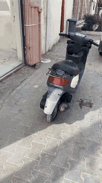 دراجة منغولي • دراجة مفتوحة • كربلاء حي حر