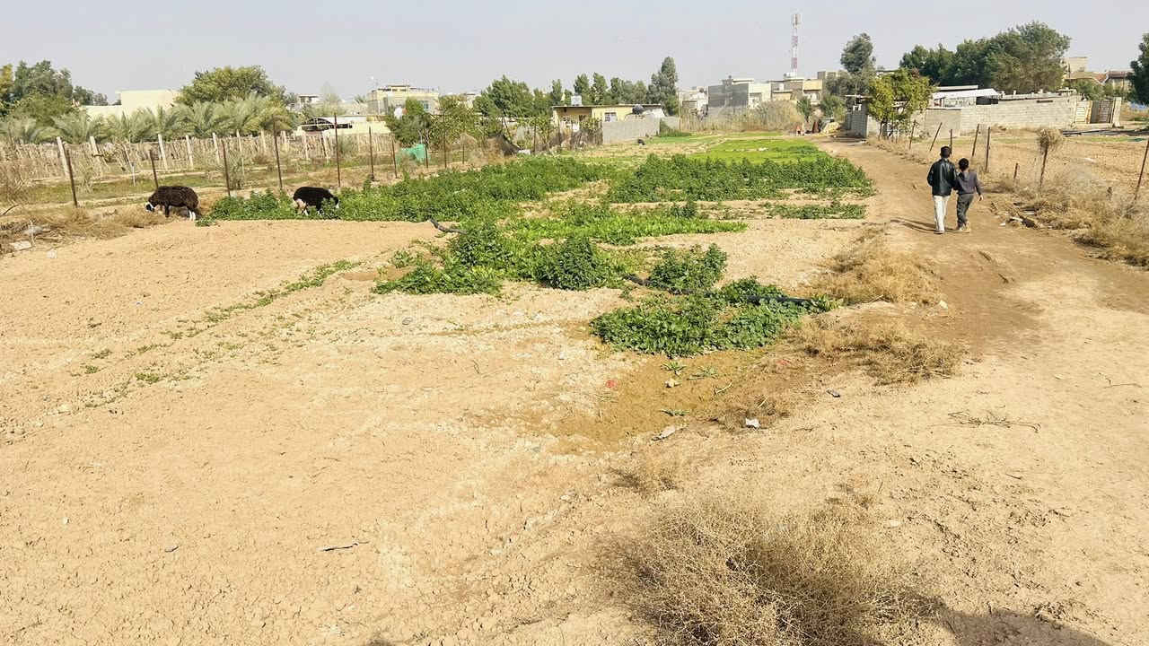 السلام عليكم دونم للبيع مكان العبيدي للاستفسار اكثر اتصل ع الرقم   ‭0773 393 2225‬ ما متواجد ع الفيس وتساب موجود .
