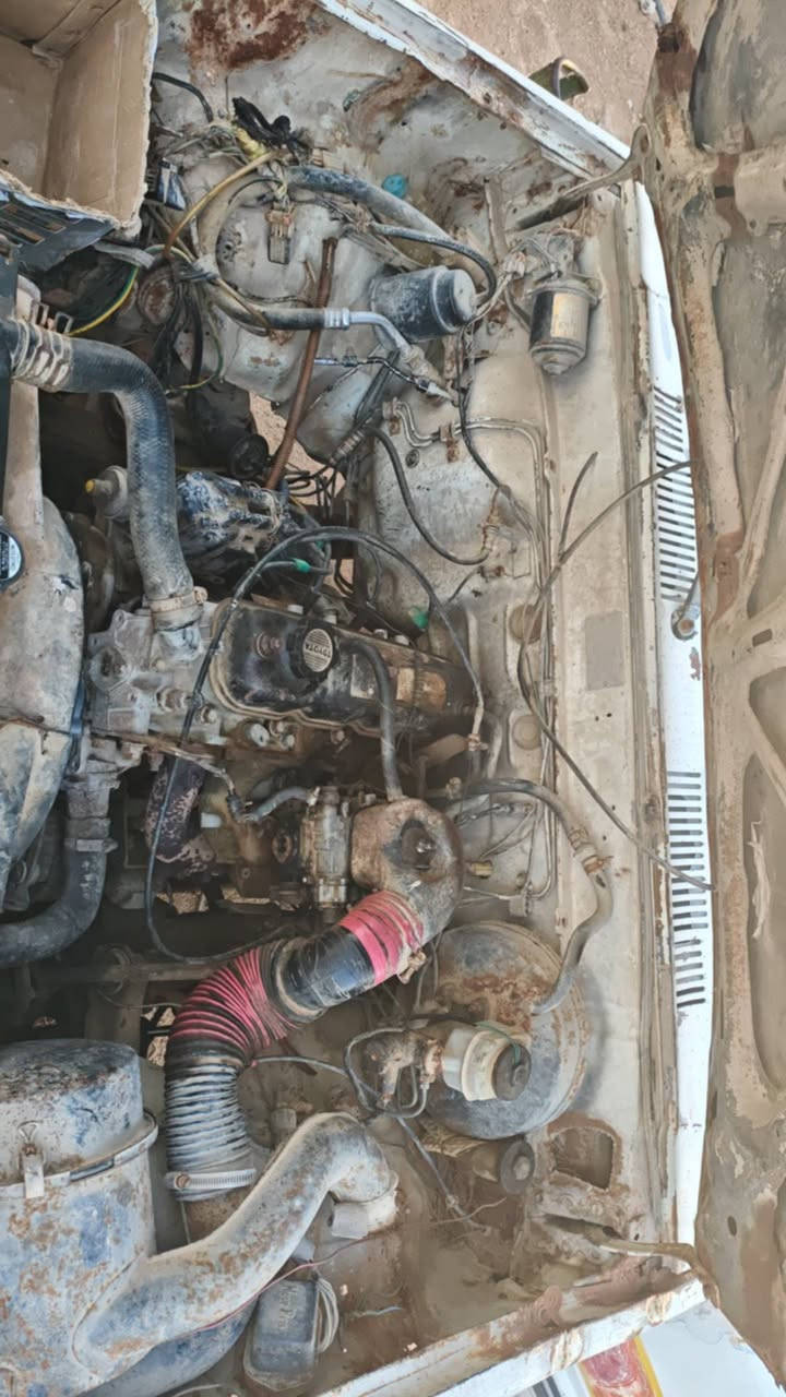 سلام عليكم بيكم للبيع كير ومحر مكفولات حداديه تمام مداور ثاني يوم سنويه 2027السعر 25وبيها مجال ***********
