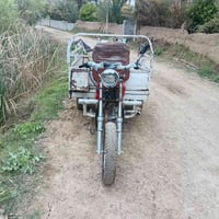 ستوته ام الطير • MTR • الوراق ضايعه