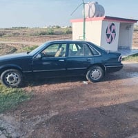 ابرنس • ١٩٩٤ • التاجي