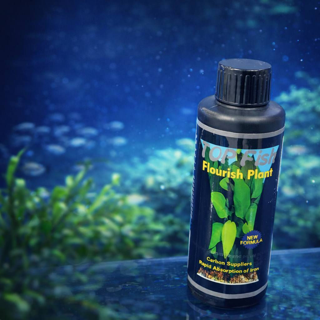 يالله  اللهم صل على محمد وال محمد 
#علاج_النباتات_المتوفره_في_معرضنا #السيد_لاسماك_الزينه 
للاستفسار راسلنا خاص او واتساب او اتصل على الارقام👇 
العنوان
طوز خورماتو سايدين امام احمد مقابل قصابة حكمت 
☎️سيد ليث *********** واتساب او اتصال
☎سيد منتظر *********** واتساب او اتصال
🚚يتوفر خدمه توصيل داخل طوز خورماتو مجاني 
🚛 يتوفر خدمة توصيل جميع المحافظات 6 الف دينار
