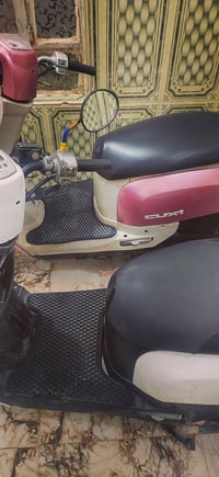 ماكس بوليسي • نضاف • ٦٥٠