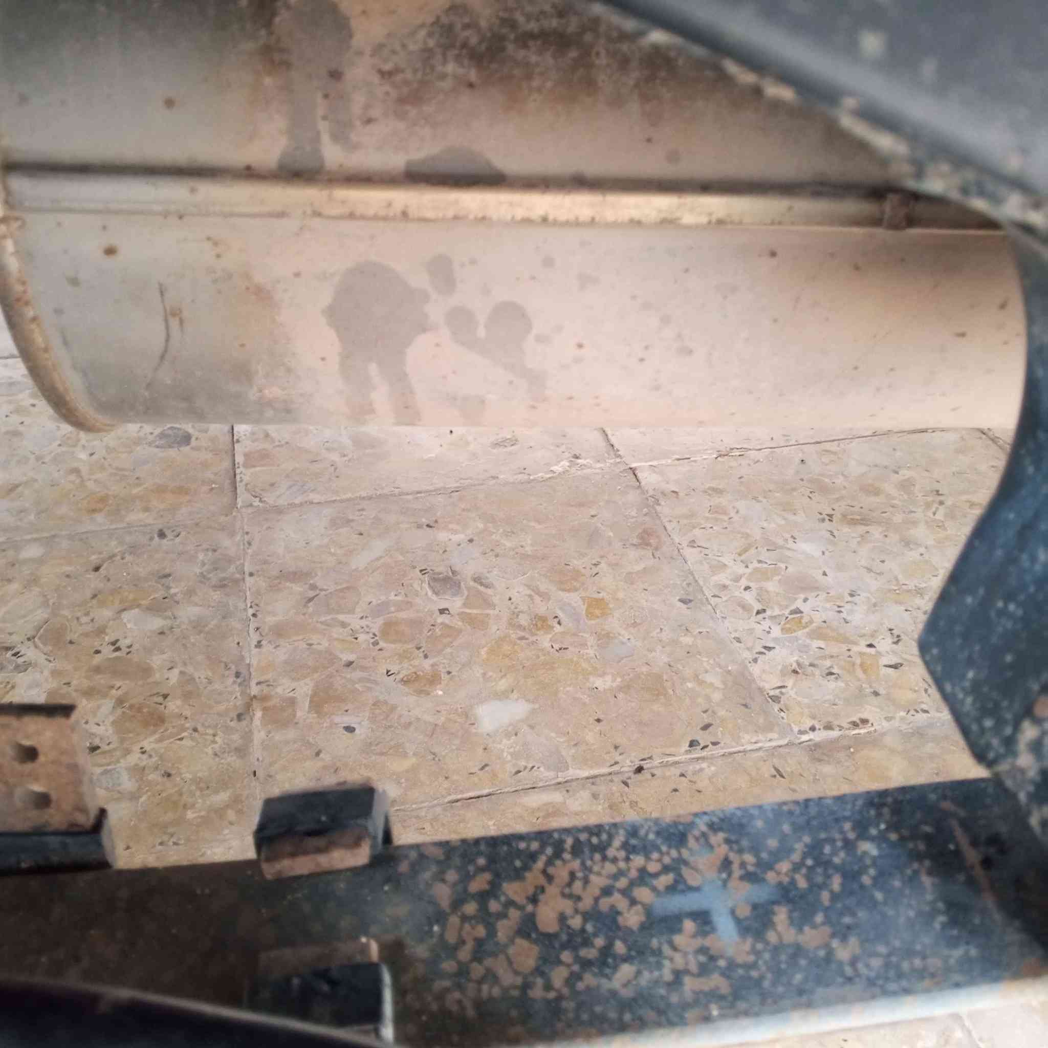 السلام عليكم فلاونزه موديل ١٥كويتي شاصي ١٩كفاله عامه رقم بغداد الدوالي تخم تاير حداده كيراوتماتيك سنويه مجدده سياره جديد خط بلادي كفاله عامه ***********البصره المدينة, البصرة
