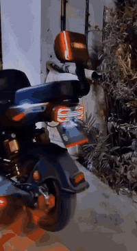 سلام عليكم دراجه شحن x900 للبيع دراجه أستعمال قليل بطاريات جدد عل فحص أدارجة كلشي بيهة بلادي شلعة شرط بطناش نقص فقط فج أمامي مو جود بس يرادلة غراض لا غير كفرات ما بيهن أي كسر تايرات جدد سعر 490أو بيهة مجال رقم *********** بي واتساب مكاني بغداد أبو غريب للعلم دراجه تشغيل بصمة أصبع أو تشغيل عن بعد أو سويج
