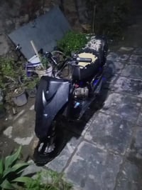 بوشه ٤٩ • سلف • خرسه