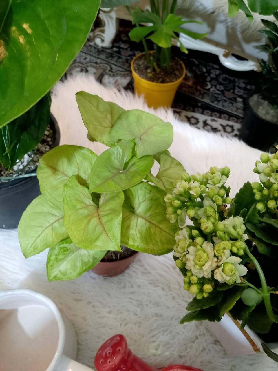 اليوم مسواك جديد ايجنن


**إذا كنت صاحب هذا الإعلان وتريد حذفه لأي سبب، رجاءا أرسل رسالة إلى الدعم الفني**