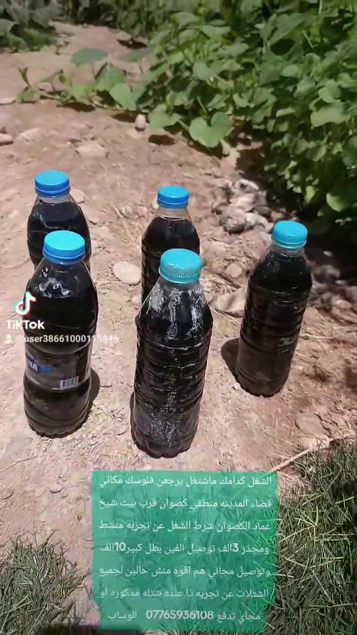 خلال 10ايام وشوف شتلتك لو زرعك شلون راح يتغير 100بل 100وبضمانتي وراسلوني وعاتبني ذا مشتغل


**إذا كنت صاحب هذا الإعلان وتريد حذفه لأي سبب، رجاءا أرسل رسالة إلى الدعم الفني**