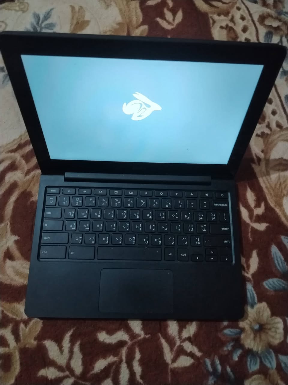 السلام عليكم من رخصه الادمن لابتوب Dell ودرون للبيع للاتصال *********** متواجد ماسنجر
