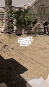 من فضل ربي من اعمالنا جمعه مباركه يارب عليكم تواصل معنا 07905906706 07...