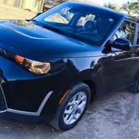 سول ٢٠٢٤ • كفالة • بدون دواخل