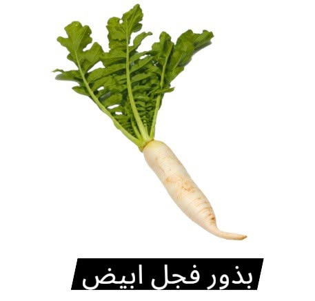 توفر بذور زراعة 🌿🌿🌿
📍 الرمادي شارع 20 فرع المقابل لحلويات العيد قرب الدكتورة زبيدة للاسنان ♦️♦️ اعشاب الدكتور صبري المرسومي♦️♦️ للتواصل ***********
